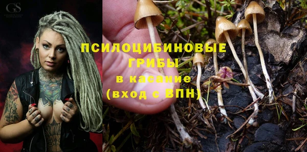 тгк Горно-Алтайск