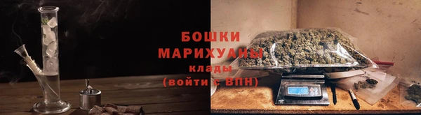 тгк Горно-Алтайск