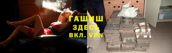 прущие грибы Вязники